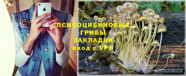 шишки Алексеевка
