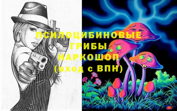шишки Алексеевка