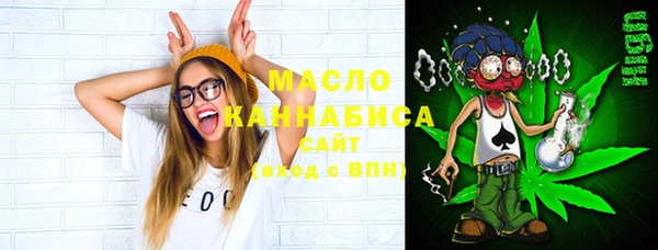 крисы Алексин